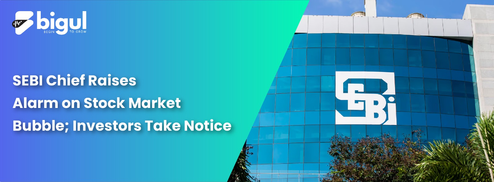 SEBI Chief Raises Alarm on Stock Market Bubble; Investors Take Notice
